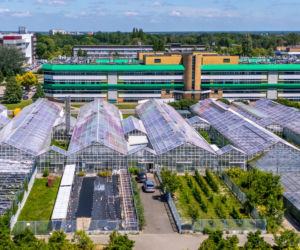 Kampus SGGW w Warszawie