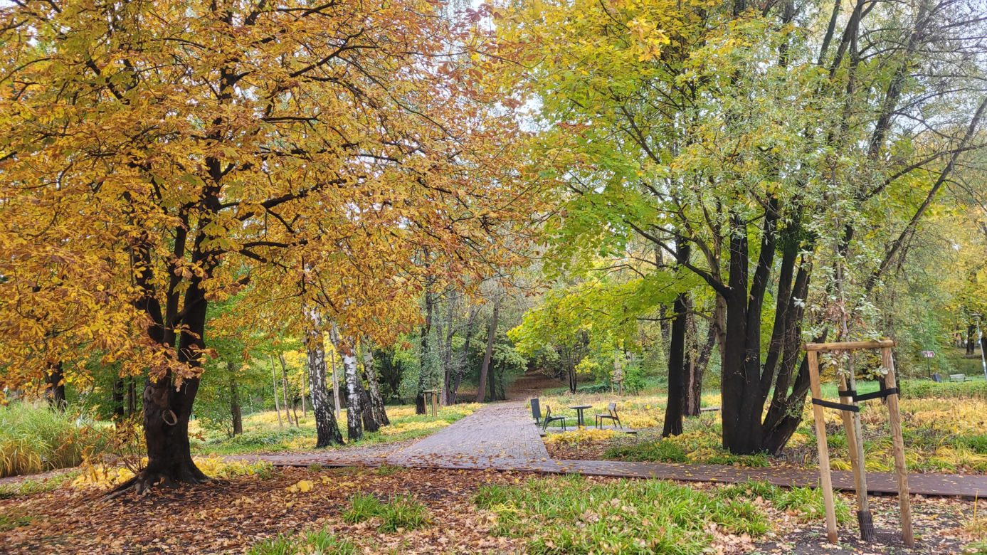 To najlepszy park w Olsztynie na jesienny spacer. Wyboru dokonała sztuczna inteligencja