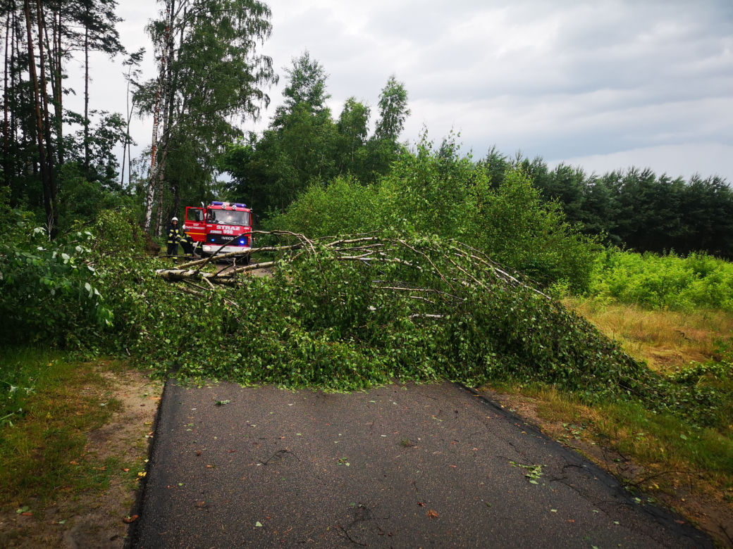 Burze, ulewy i wichury w Śląskiem. Interwencje straży pożarnej [ZDJĘCIA, 24.06.2021]