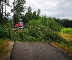 Burze, ulewy i wichury w Śląskiem. Interwencje straży pożarnej [ZDJĘCIA, 24.06.2021]