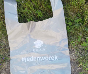 Akcja #jedenworek
