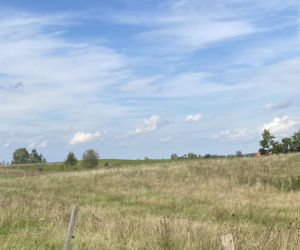 Bitwa o Polanę Ukciańską nad Krutynią