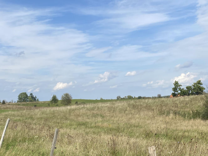 Bitwa o Polanę Ukciańską nad Krutynią