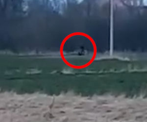 Policjanci pobili mężczyznę?