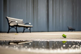 Papież Franciszek apeluje o pokój. Co zaskakuje w jego najnowszym wezwaniu?