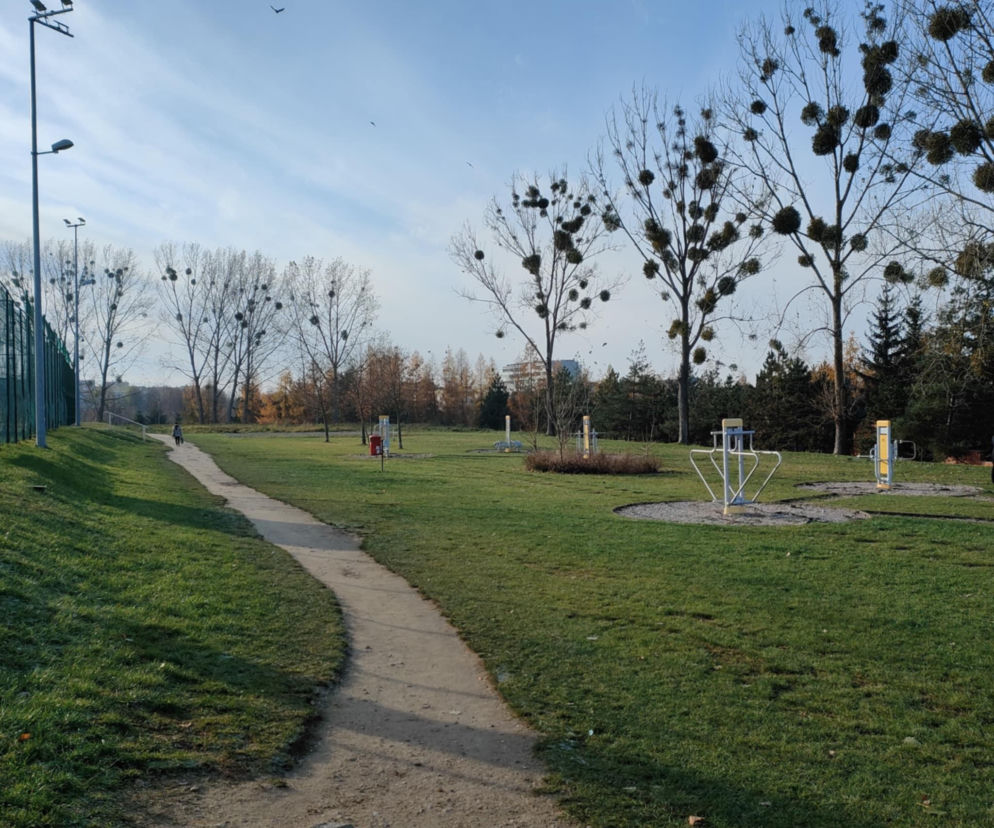 Lodowisko rolkowisko w Łomży powstanie za 18 miesięcy