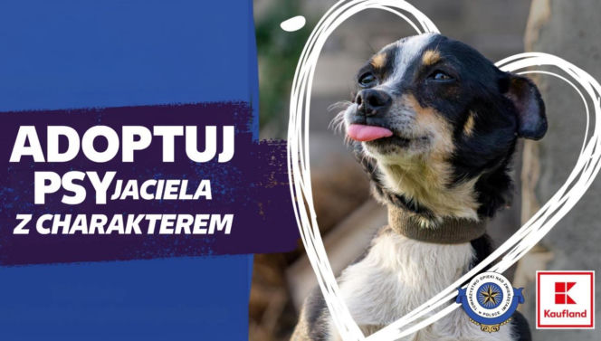 Kaufland wspólnie na rzecz zwierząt