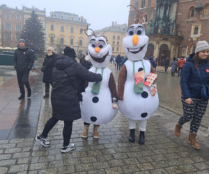 34. finał WOŚP w Krakowie. Golden Retrievery na Rynku Głównym