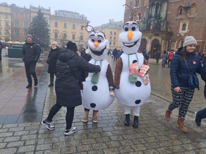 34. finał WOŚP w Krakowie. Golden Retrievery na Rynku Głównym
