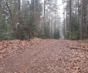 W 54 godziny zdobyli 28 szczytów Korony Gór Świętokrzyskich