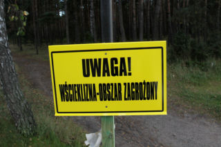Wścieklizna panuje na Mazowszu! W tych miejscach nie wyjdziesz z psem na smyczy!