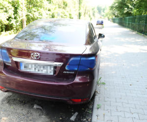Wandal zdewastował ponad 20 aut