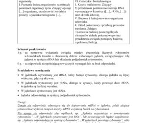 Matura 2019 z biologii [ARKUSZE CKE, ODPOWIEDZI]
