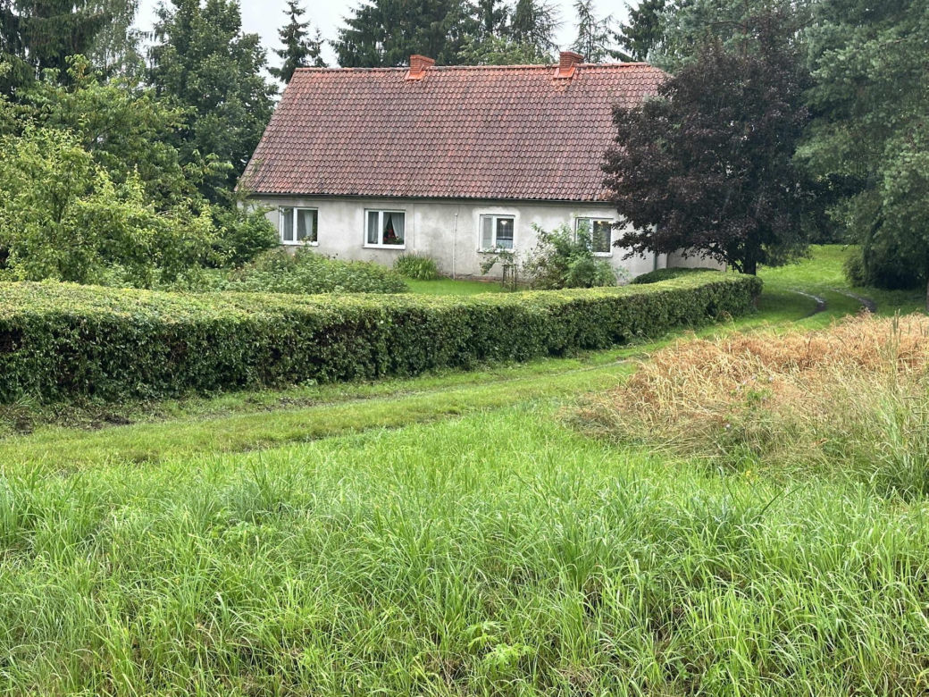 Zabójstwo pod Iławą