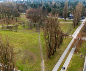 Przyszła trasa tramwaju wzdłuż Pola Mokotowskiego w Warszawie