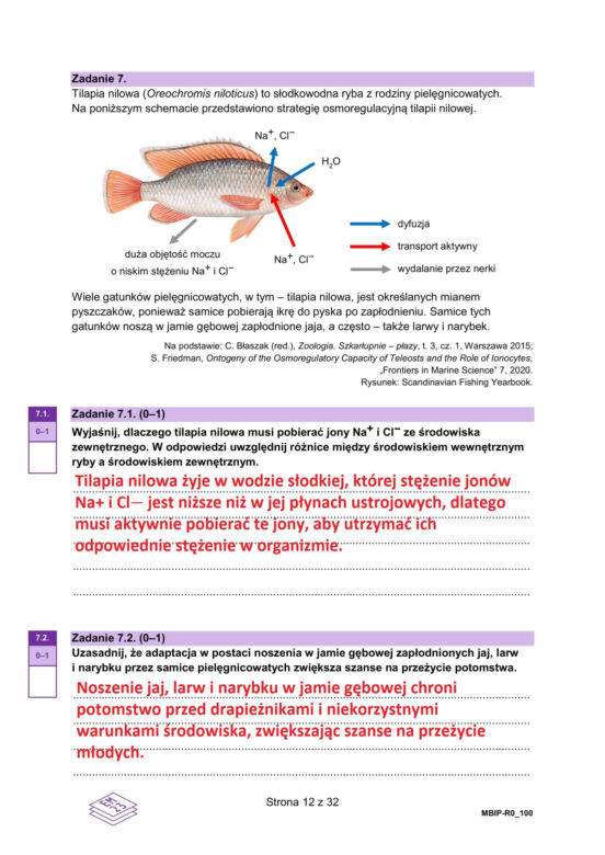 Matura 2025 biologia rozszerzona: ODPOWIEDZI do wszystkich zadań, gotowe rozwiązania matury z biologii rozszerzonej [9.05.2025]	