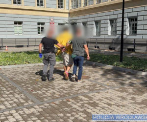 Koszmar małych dziewczynek. 19-latek z zarzutami za przestępstwa seksualne