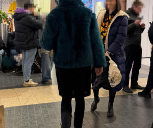 Agata Buzek na zakupach