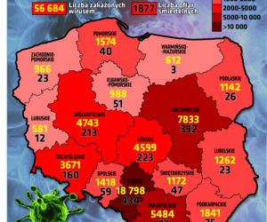 Koronawirus w Polsce. Wykresy i mapy: 16.08.2020