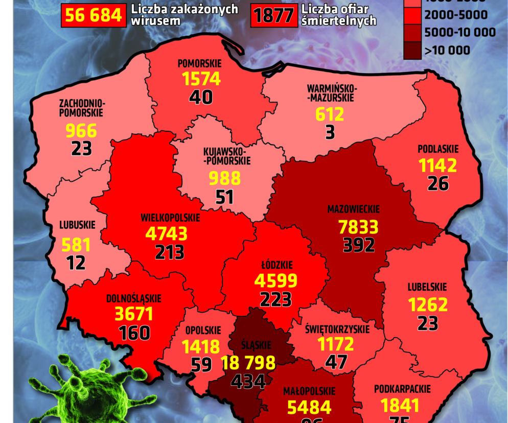 Koronawirus w Polsce. Wykresy i mapy: 16.08.2020