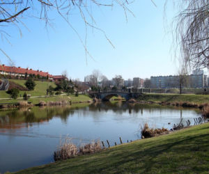 Chorzów: Milion złotych da Unia na modernizacje stawów Amelung