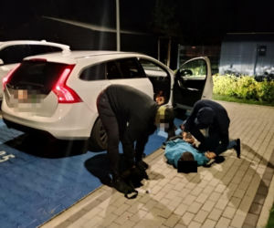 „Kobra” gryzie złodziei. Byli poszukiwani. 29-latek i 34-latek wpadli, gdy wysiedli z kradzionego Alfa Romeo