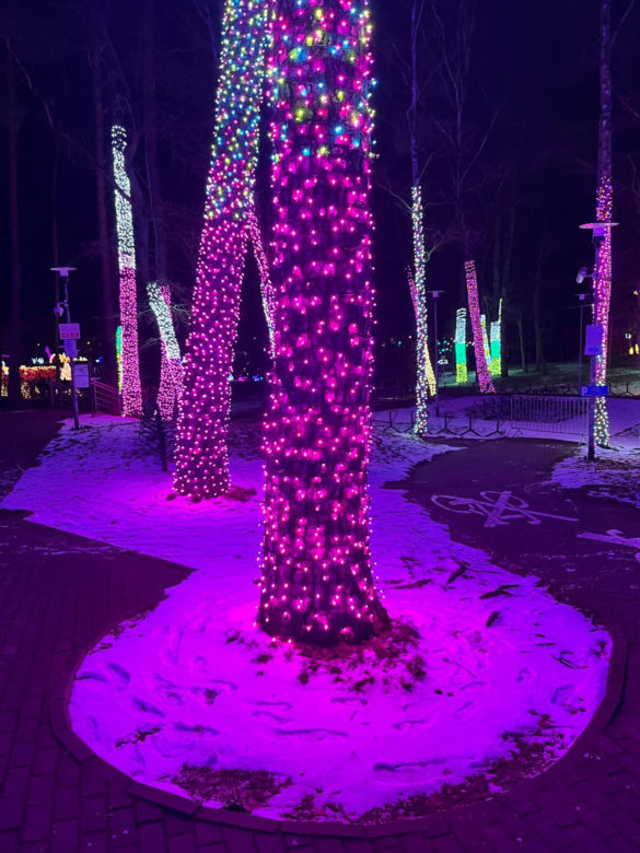 Garden of Lights w Szczecinie