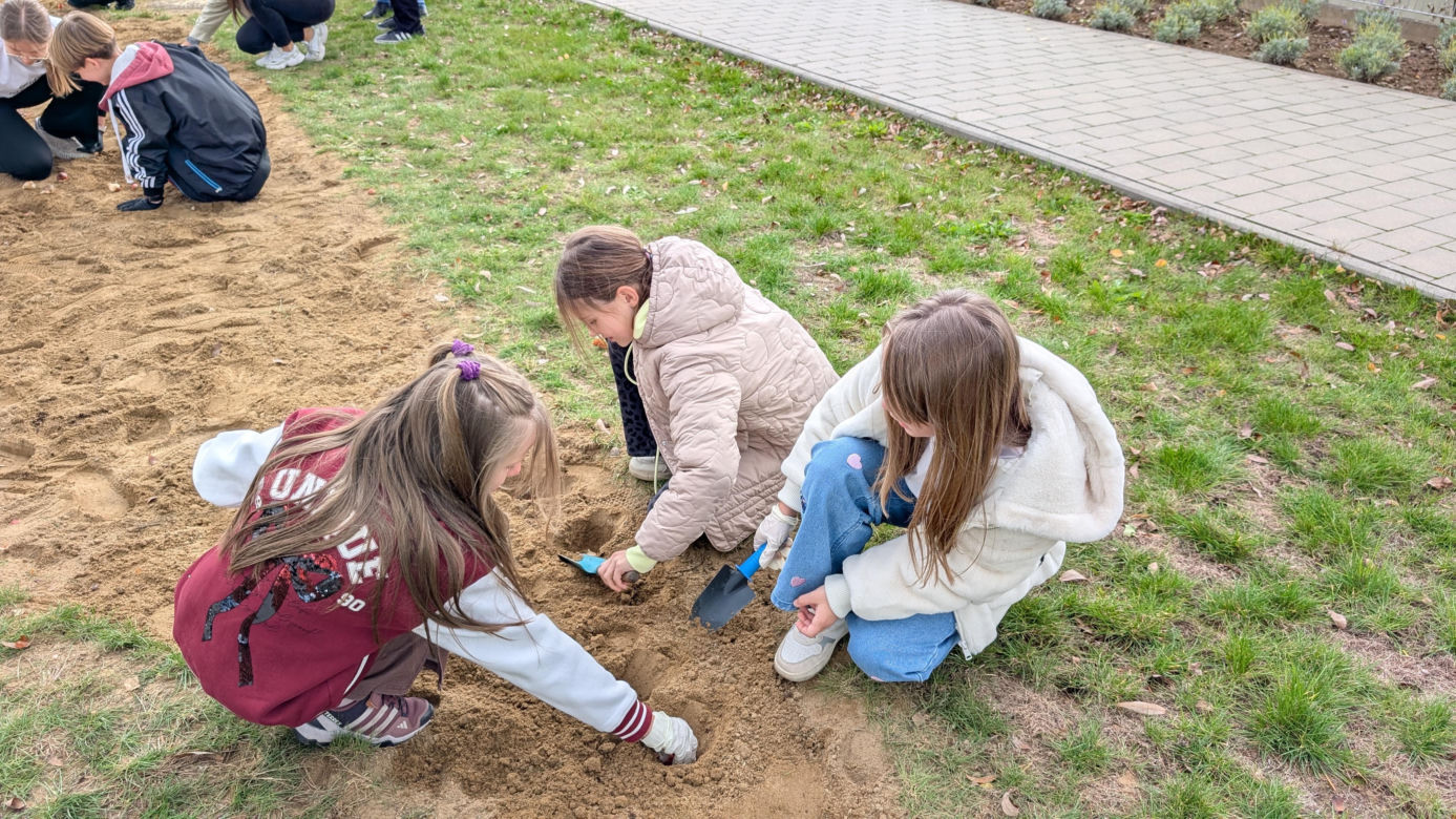 Piąta edycja akcji "Tulipany dla hospicjum Via Spei"