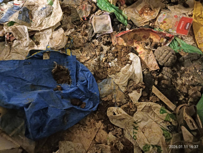 Interwencja inspektorów TOZ z Katowic w Sosnowcu