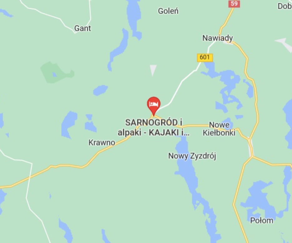 SARNOGRÓD - Agroturystyka z alpakami