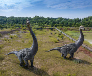 JuraPark Krasiejów