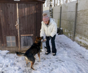 Marta Krupa z pomocą dla zwierząt. Nakarmiła psy i koty w potrzebie