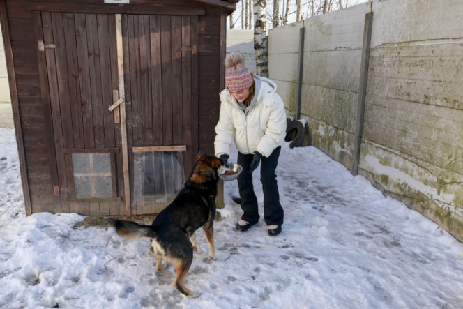 Marta Krupa z pomocą dla zwierząt. Nakarmiła psy i koty w potrzebie