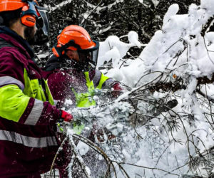 Atak zimy w Elblągu
