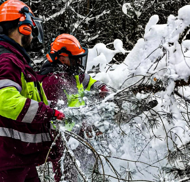Atak zimy w Elblągu