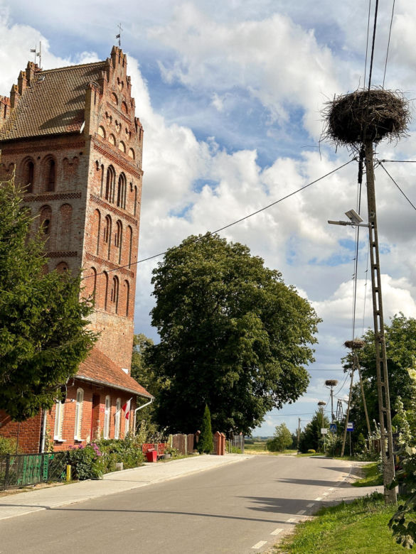 Orły plądrują wieś z jej skarbów. Żarłoczne ptaki nie mają litośc