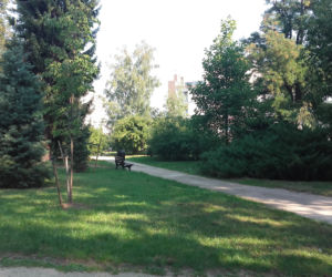 W tym miejscu powstanie nowy park