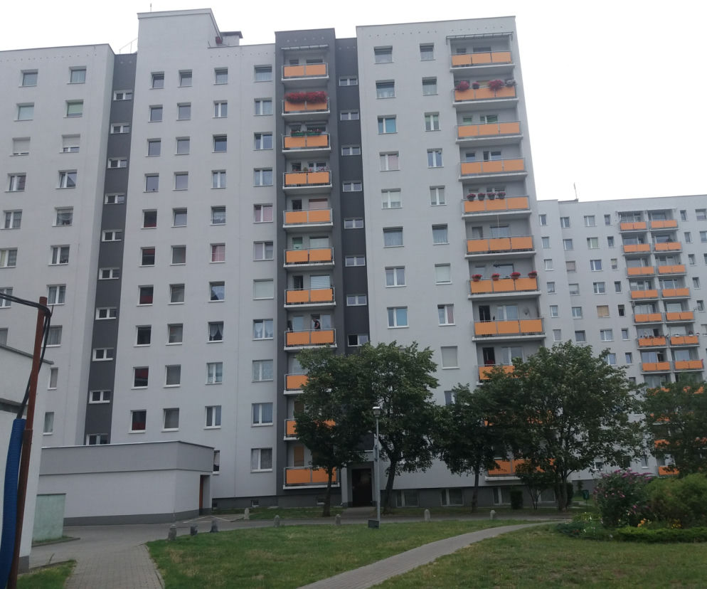 W bloku przy ul. Lisiej w Zielonej Górze doszło do rodzinnego dramatu