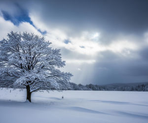 Prognoza pogody na 15 i 16 lutego. Czy mróz naprawdę ustąpi?