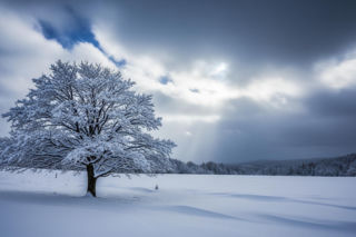 Prognoza pogody na 15 i 16 lutego. Czy mróz naprawdę ustąpi?