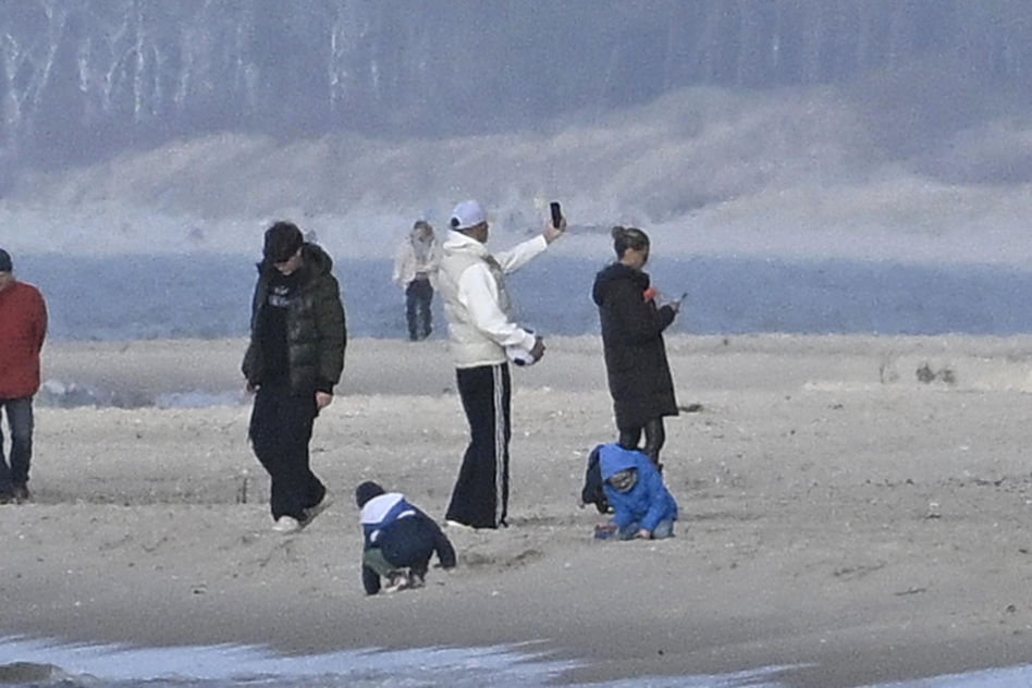 Prawdziwe paparazzi Rozenków nad morzem