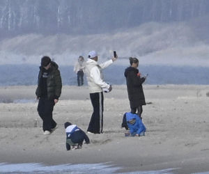 Prawdziwe paparazzi Rozenków nad morzem