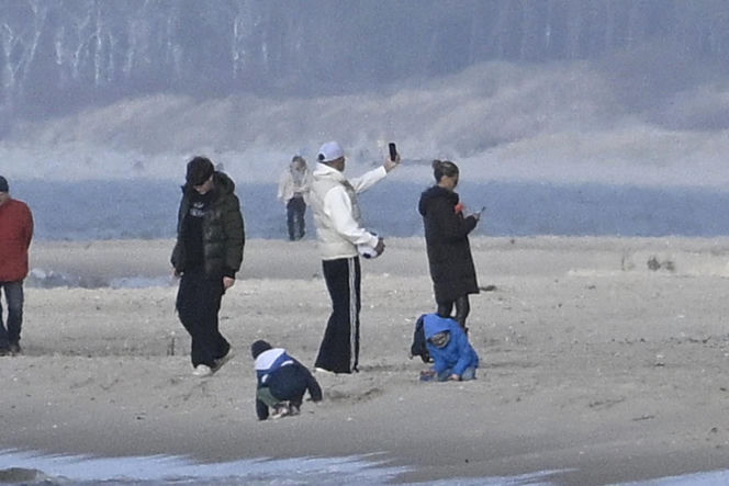Prawdziwe paparazzi Rozenków nad morzem