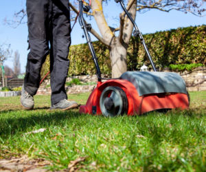 Wiosenna pielęgnacja trawnika: krok po kroku do pięknej zieleni