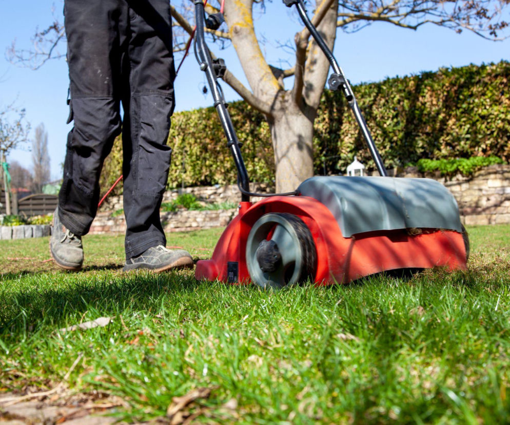 Wiosenna pielęgnacja trawnika: krok po kroku do pięknej zieleni