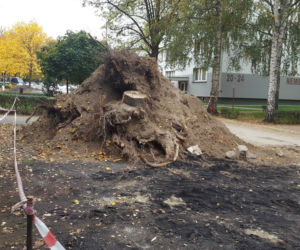Rozkopy na osiedlu Przyjaźni w Lesznie. Będa nowe parkingi na ul. Niemieckiej