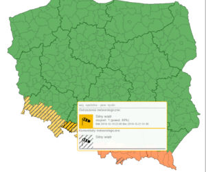 Powiat Nyski