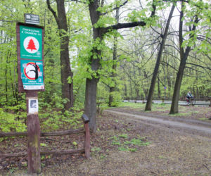 WISŁOSTRADA BĘDZIE REZERWATEM