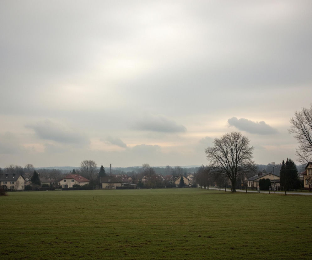 Rozległa zielona łąka rozciąga się na pierwszym planie, jej barwa jest intensywnie zielona z ciemniejszymi plamami. Wzdłuż prawego boku łąki biegnie asfaltowa droga, a za nią widoczne są domy o jasnych fasadach i spadzistych dachach, otoczone drzewami bez liści oraz kilkoma ciemnozielonymi iglakami. Horyzont wyznacza pas zabudowań, gęstych drzewostanów i odległych, niewyraźnych wzniesień, a nad całością rozciąga się zachmurzone niebo w odcieniach szarości, z jaśniejszymi fragmentami.
