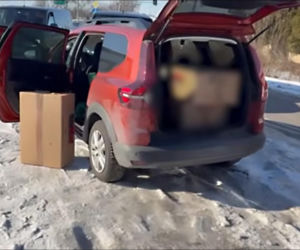 Akcja CBŚP w Jankach